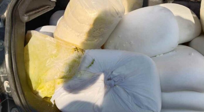 होली से पहले मिलावटखोरों पर खाद्य सुरक्षा विभाग की बड़ी कार्रवाई, 3 कुंतल पनीर व 60 किलो मावा किया मौके पर नष्ट