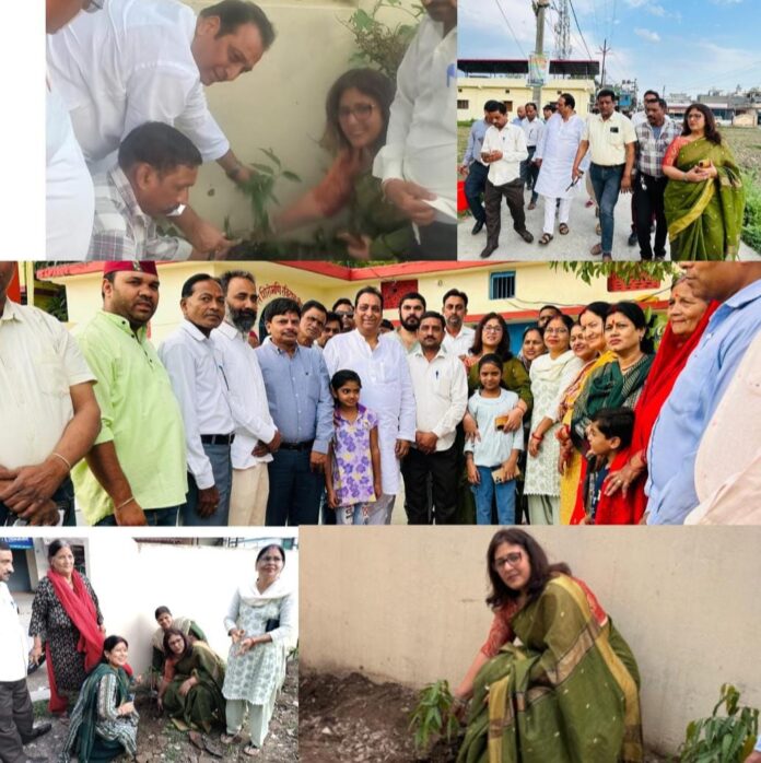 विश्व पर्यावरण दिवस के मौके पर धर्मपुर विधायक विनोद चमोली ने किया वृक्षारोपण पर्यावरण शुद्ध रखने का दिया संदेश