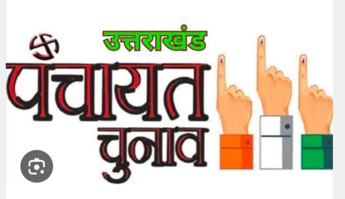 पंचायत चुनाव में पहली बार वोट करने को युवा उत्साहित