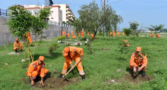 हरित भविष्य की दिशा में एक कदम” एनडीआरएफ की पहल