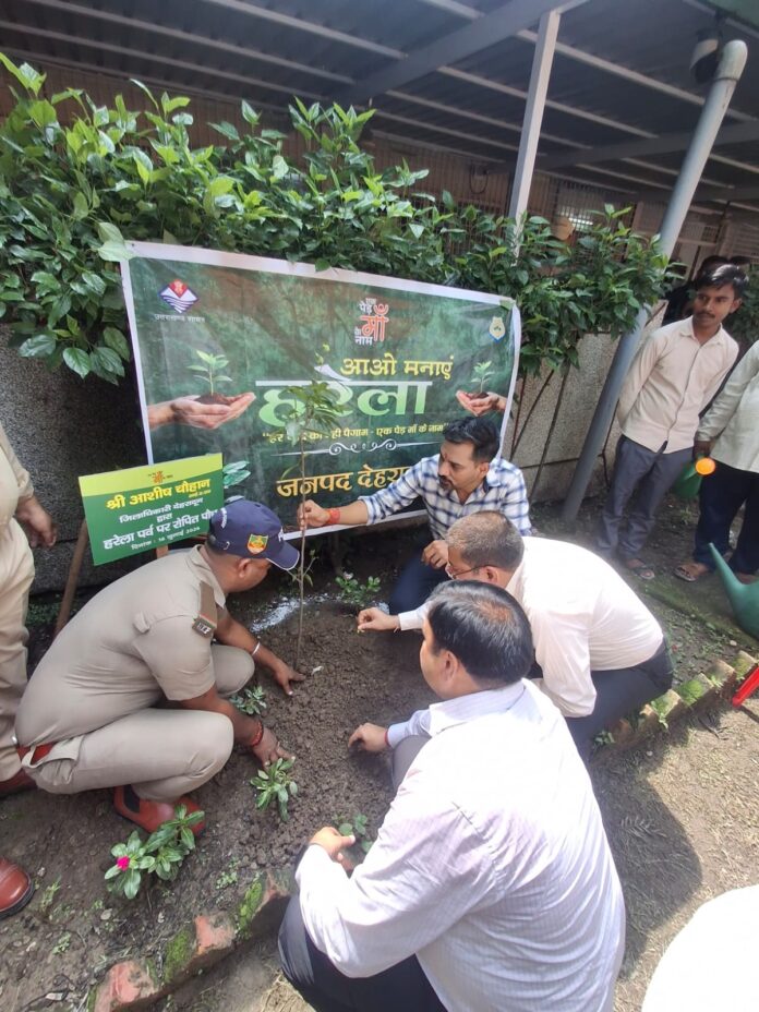 हरेला पर्व पर हरियाली का संकल्प: जिलाधिकारी डॉ0 आशीष चौहान ने किया वृक्षारोपण, कहा— पौधारोपण को बनाएं जन-आंदोलन